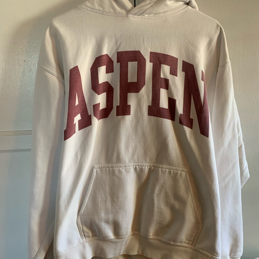 Brandy Melville Aspen Hoodie